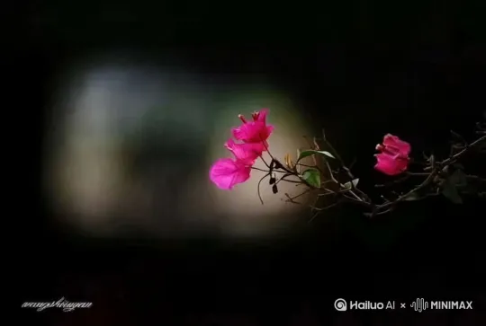  by Hailuo AI Video Generator