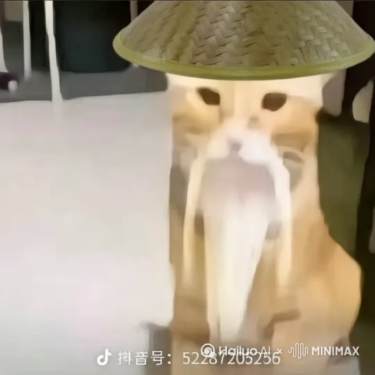 宠物系上围裙，开始做家务。 by Hailuo AI Video Generator