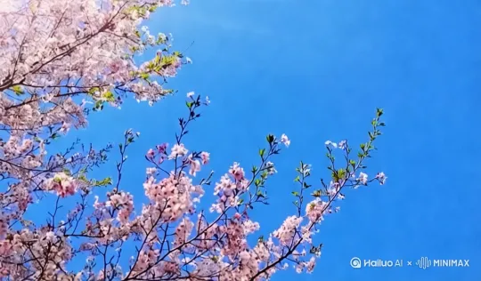 有几只蝴蝶在飞 by Hailuo AI Video Generator