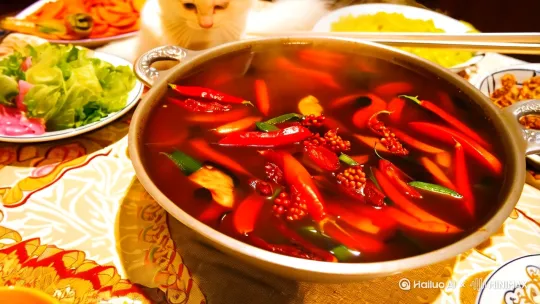 小猫吃麻辣烫 by Hailuo AI Video Generator