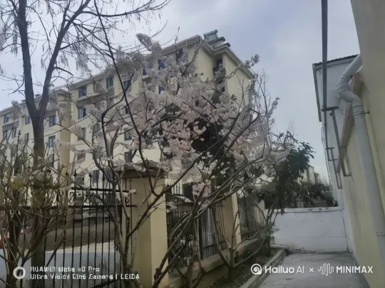 [右摇,变焦推进] by Hailuo AI Video Generator