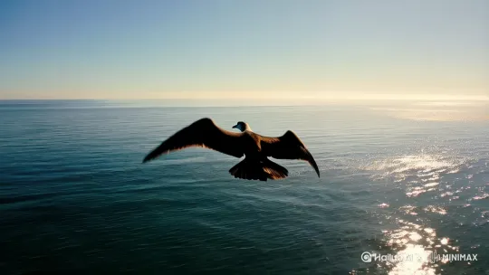 在在苍茫的大海上，海燕像黑色的闪电。 by Hailuo AI Video Generator