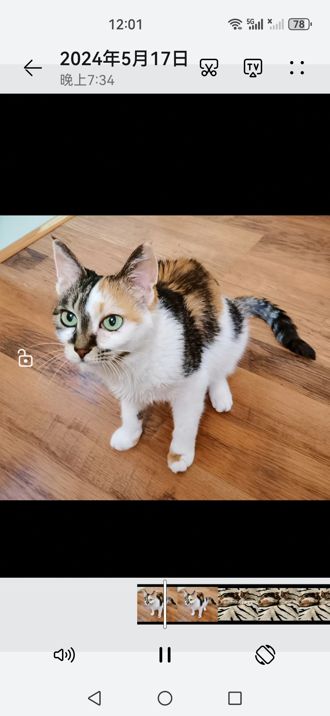 video original by Hailuo AI Video Generator