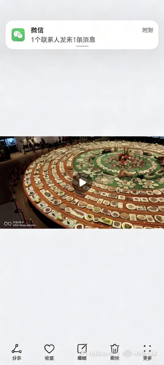  by Hailuo AI Video Generator