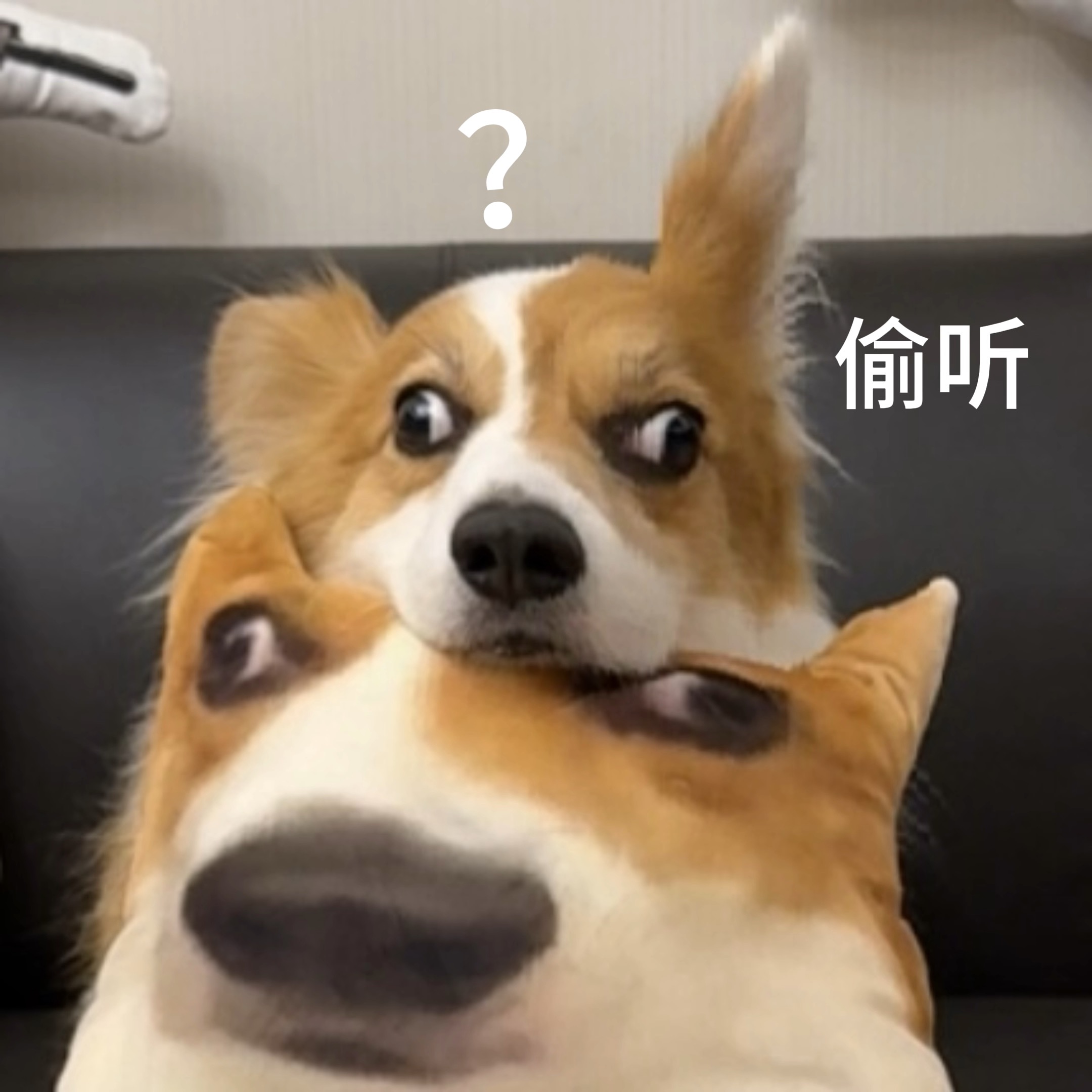 video original by Hailuo AI Video Generator