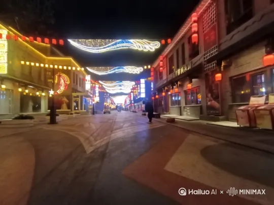  by Hailuo AI Video Generator
