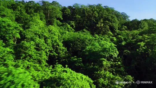[推进]树林，[推进,上升]冲出森林，远处草原上一座城堡，[下摇,推进]俯视大草原 by Hailuo AI Video Generator
