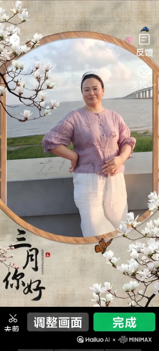 添加海鸥飞行 by Hailuo AI Video Generator