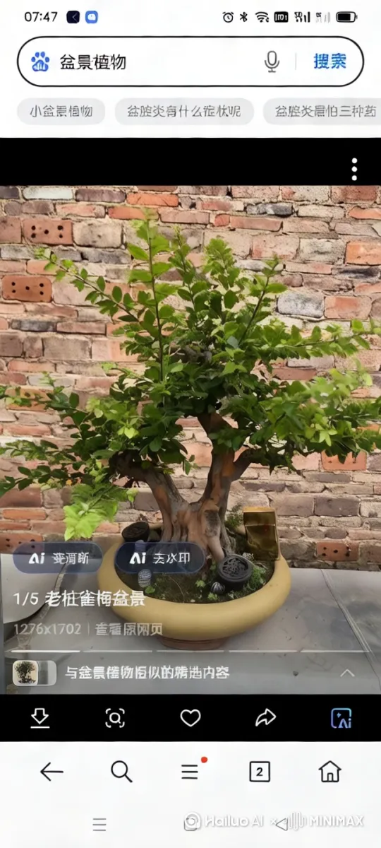 修剪设计 by Hailuo AI Video Generator