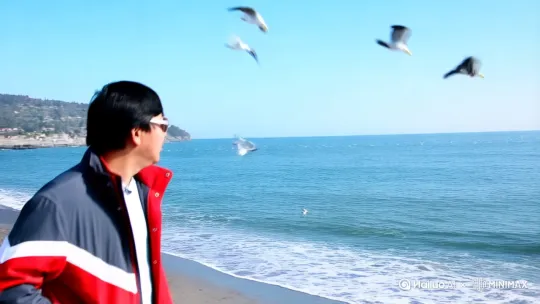 在海边散步，远景是蔚蓝的大海与天空，海面海鸥飞舞 by Hailuo AI Video Generator