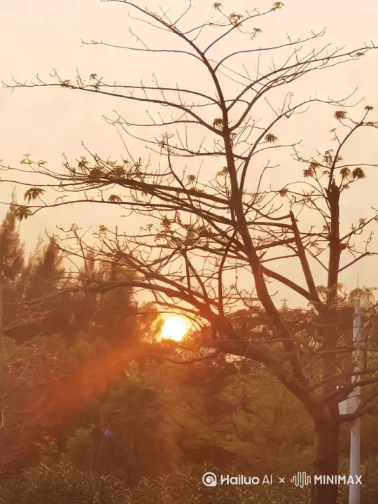 夕阳的余光在树梢中间缓缓降落。。[右移,左摇,跟随] by Hailuo AI Video Generator