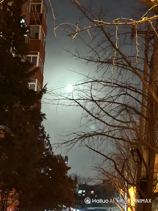 月明星稀，一个巨大的ufo从夜空穿过，一群人在围观，发出惊叹声 by Hailuo AI Video Generator