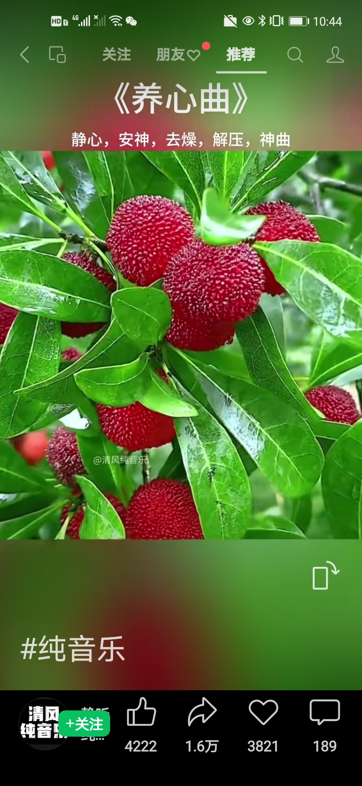 video original by Hailuo AI Video Generator