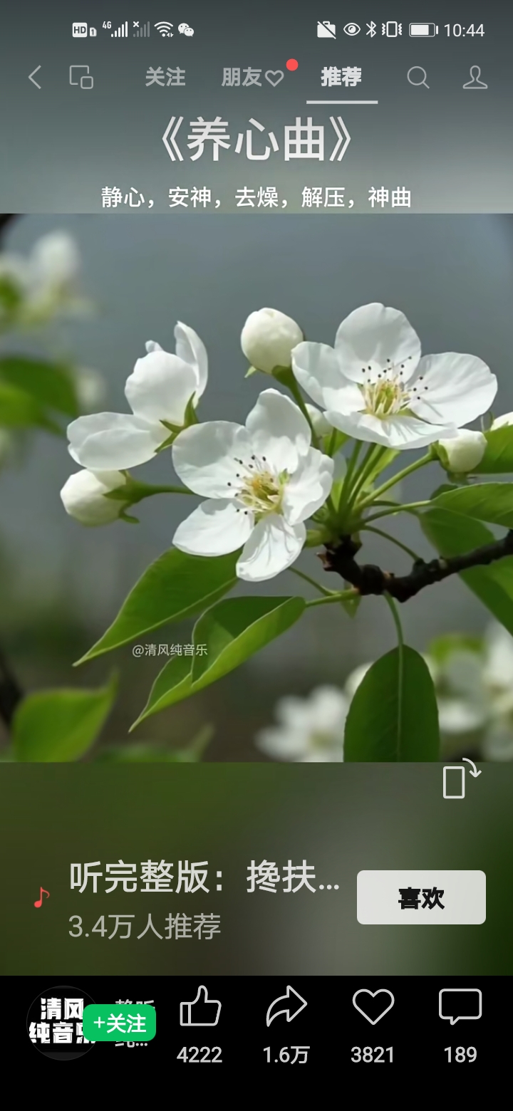 video original by Hailuo AI Video Generator