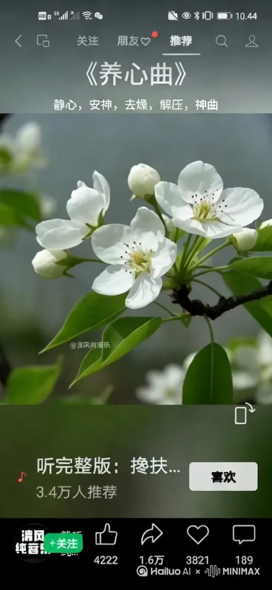  by Hailuo AI Video Generator