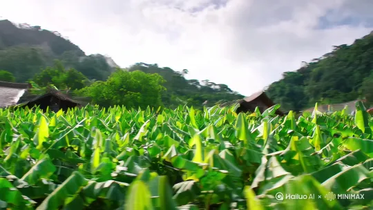 [右移,左摇,跟随]镜头沿着香蕉林，逐步推进到一个村庄，在村口显出“马床坡”三个字。（左移，右旋 跟随，360°）。 by Hailuo AI Video Generator