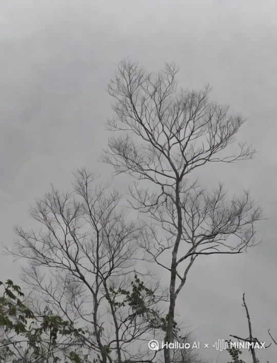  by Hailuo AI Video Generator