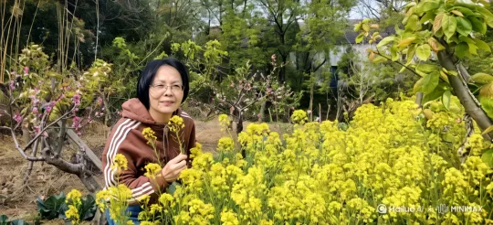 闻花香 by Hailuo AI Video Generator