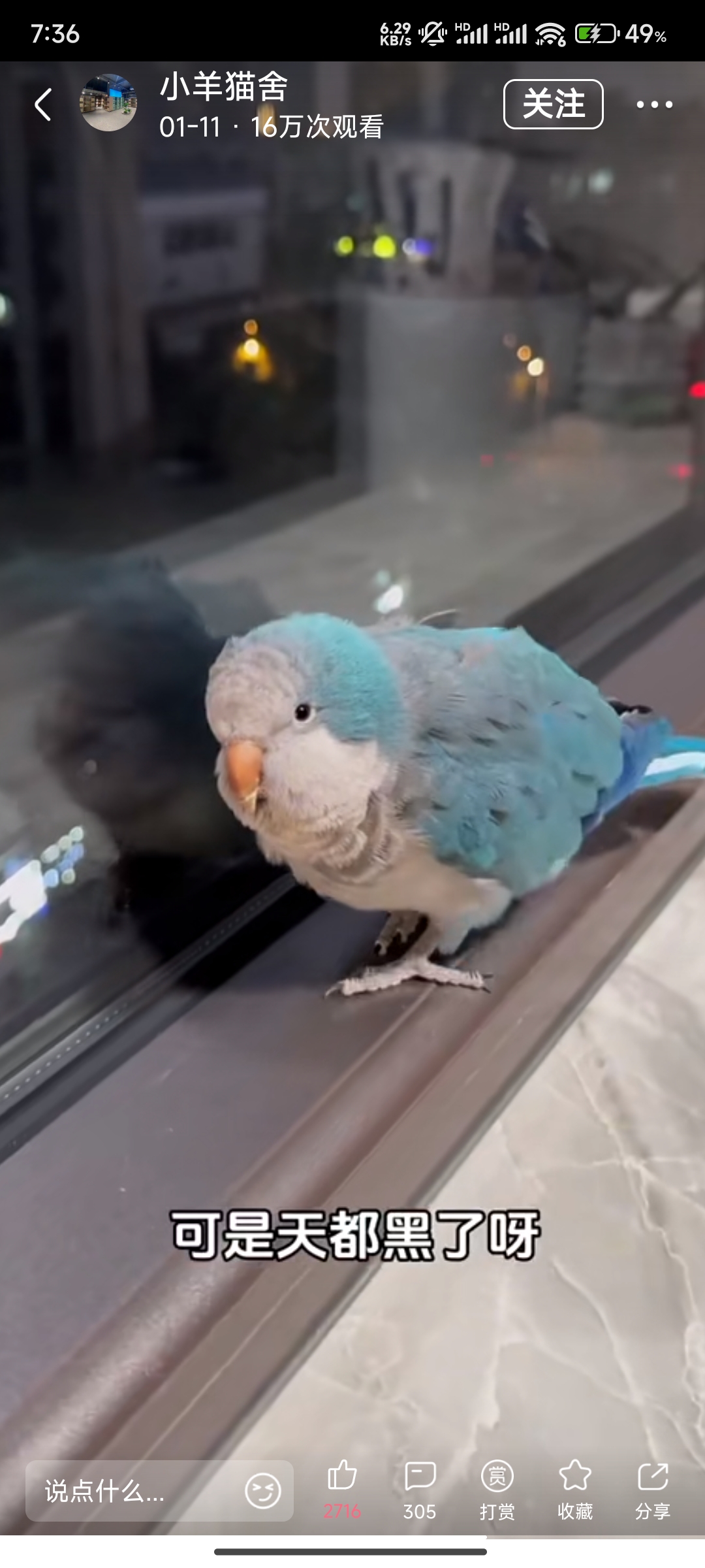 video original by Hailuo AI Video Generator