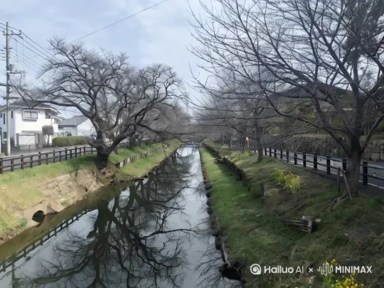  by Hailuo AI Video Generator