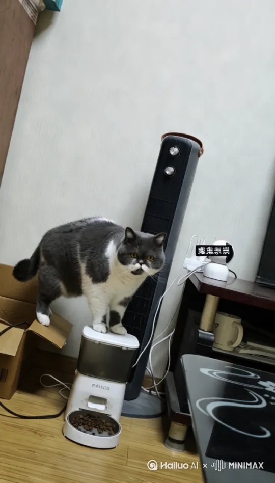 图中的猫作为主体，将它放在草地上，蓝天白云，旁边有房子，还有散步的人群，猫猫在草地上走，还有一个猫窝放在旁边[右移,左摇,跟随] by Hailuo AI Video Generator