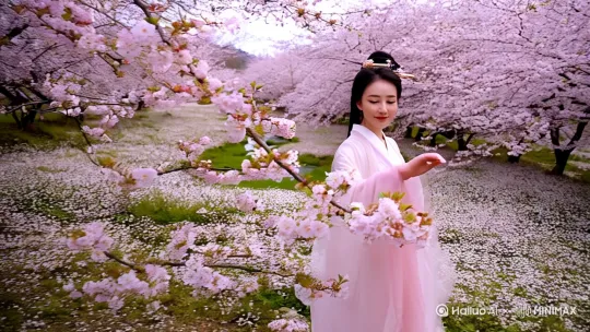 美女在鼋头渚赏樱花 by Hailuo AI Video Generator