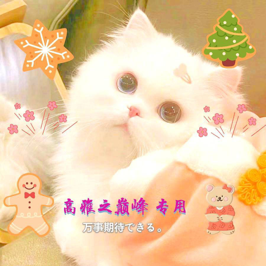 高雅之巅峰社交版 by Hailuo AI Video Generator