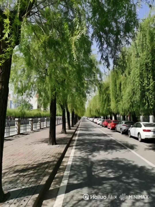 生成有音乐和解说的短视频，时长二分钟左右。 by Hailuo AI Video Generator