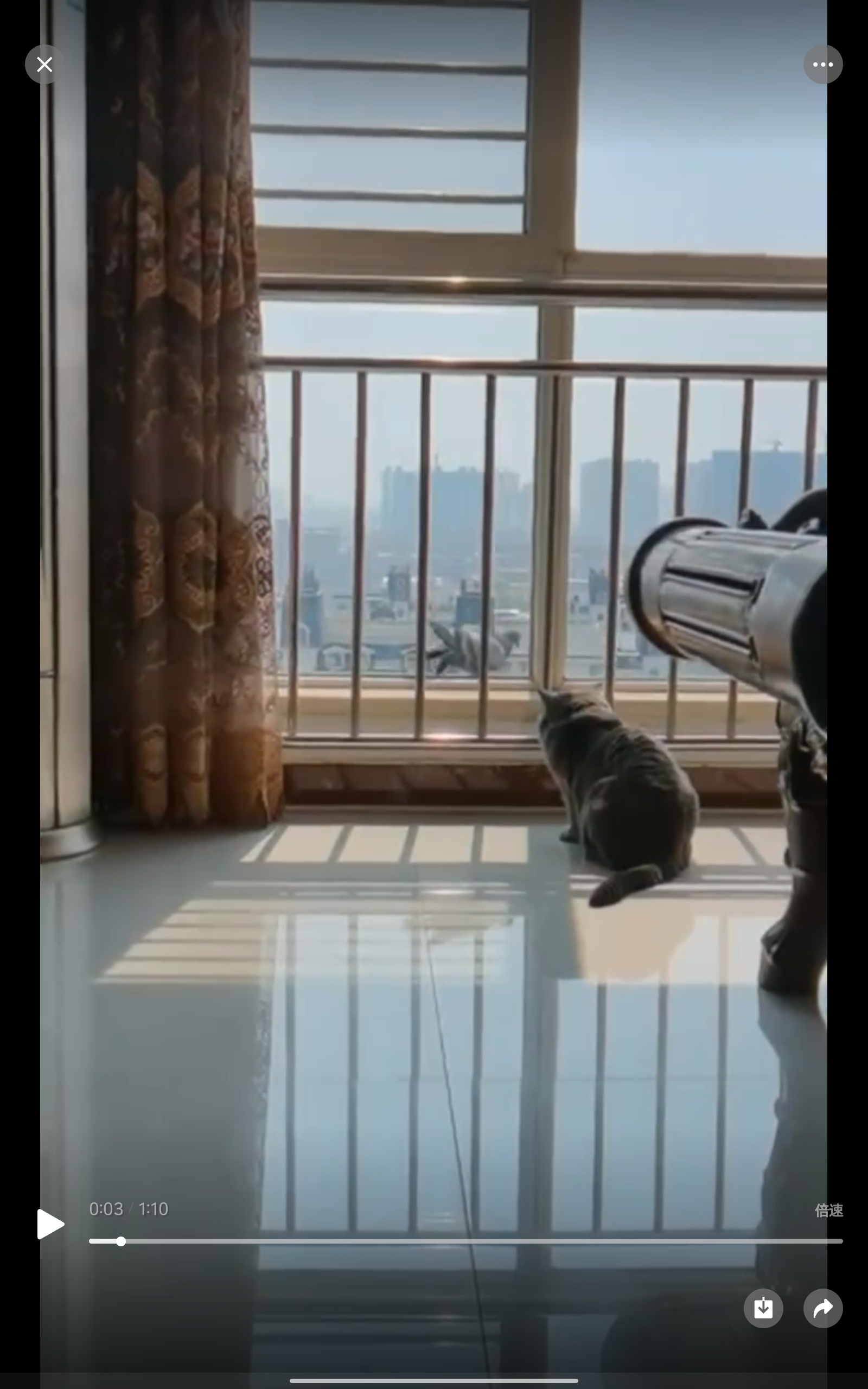 video original by Hailuo AI Video Generator