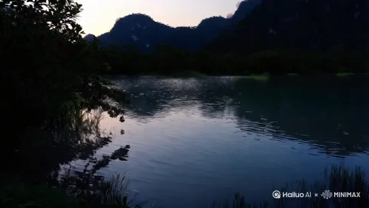 疏影横斜水清浅，暗香浮动月黄昏。 by Hailuo AI Video Generator