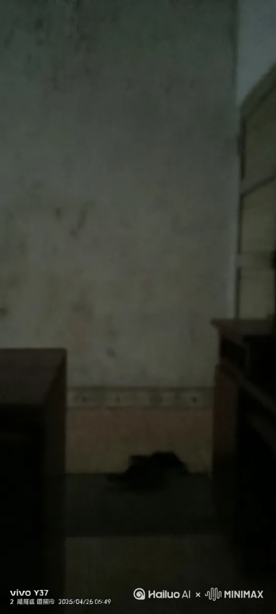 我在拍我再拍一个小女孩跳舞就叫呗觉得贵就不要 by Hailuo AI Video Generator