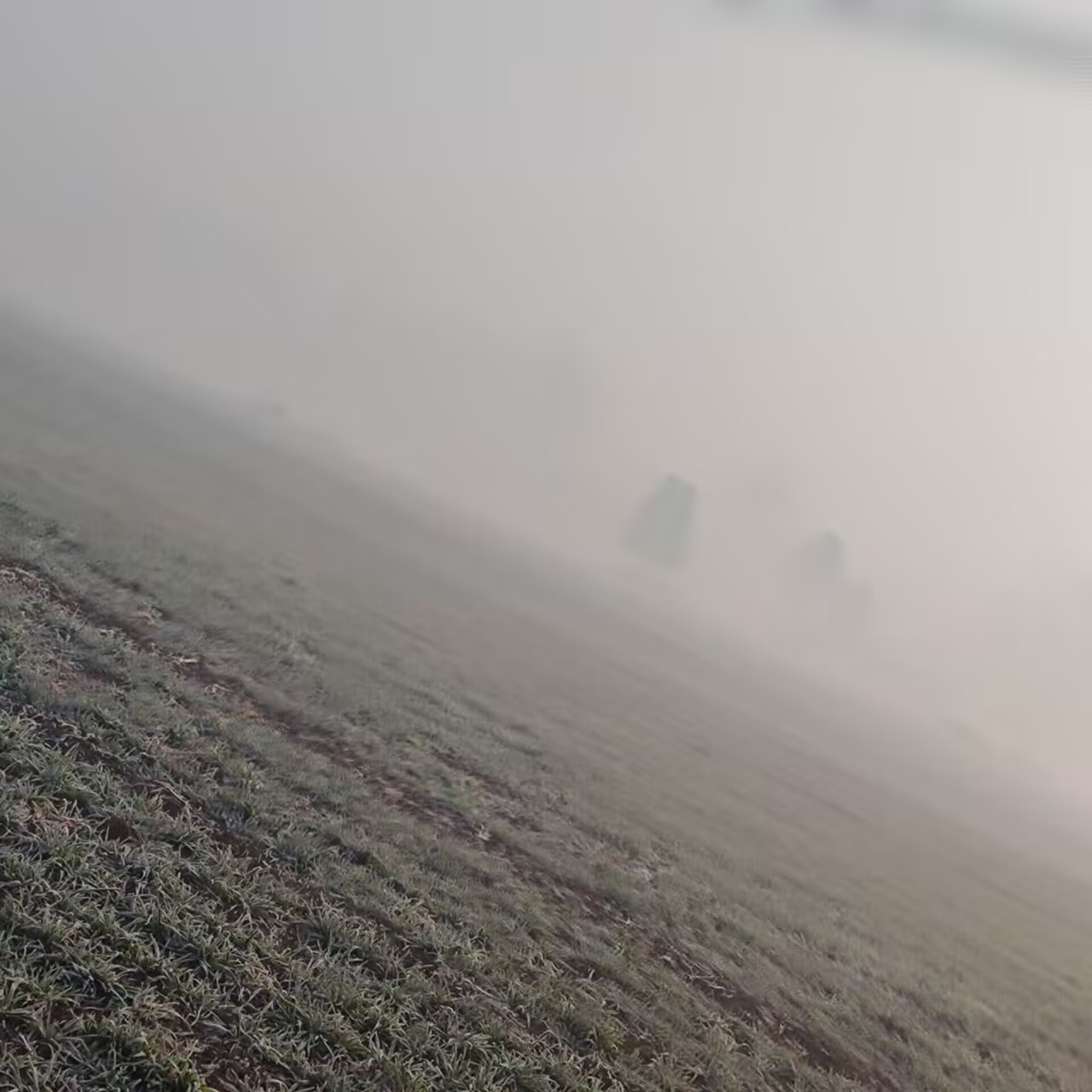 video original by Hailuo AI Video Generator