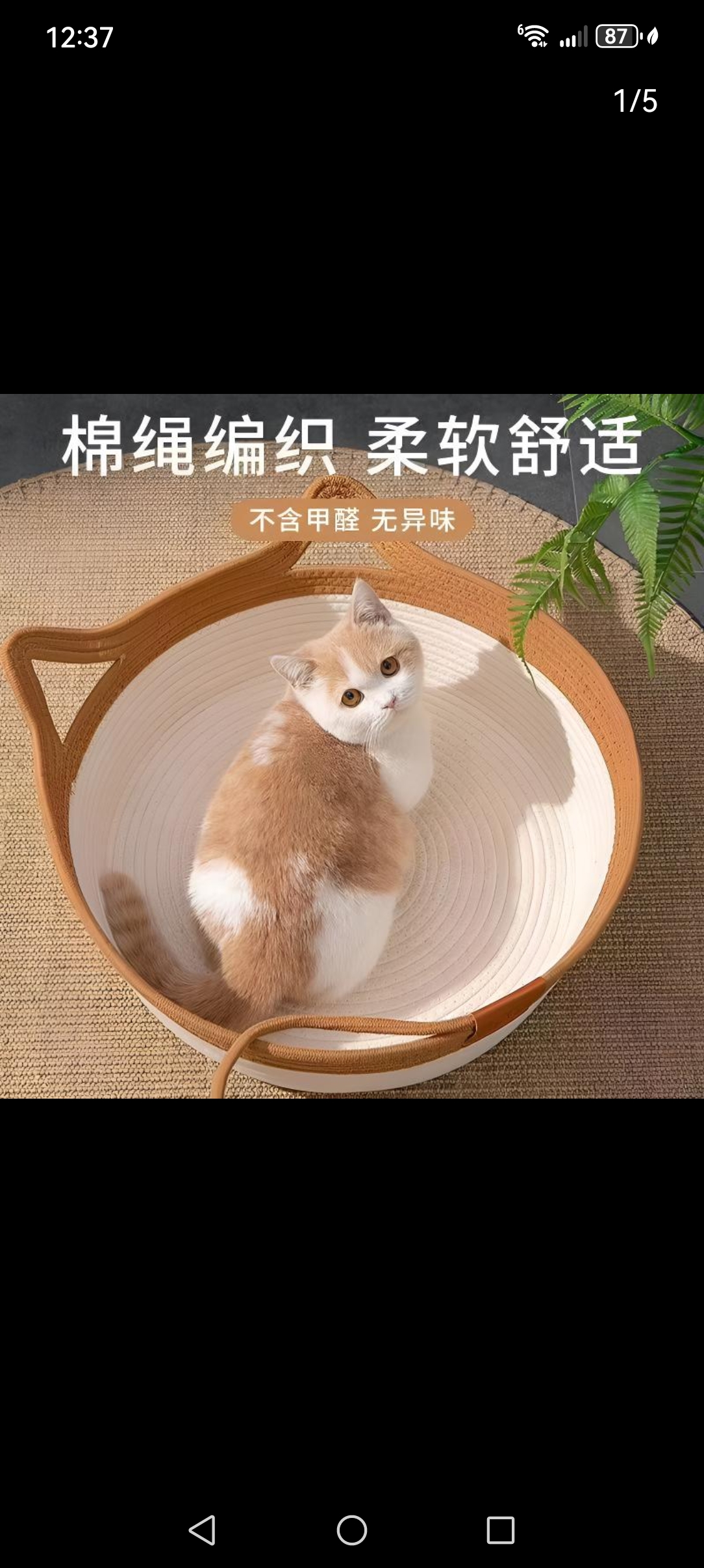 video original by Hailuo AI Video Generator