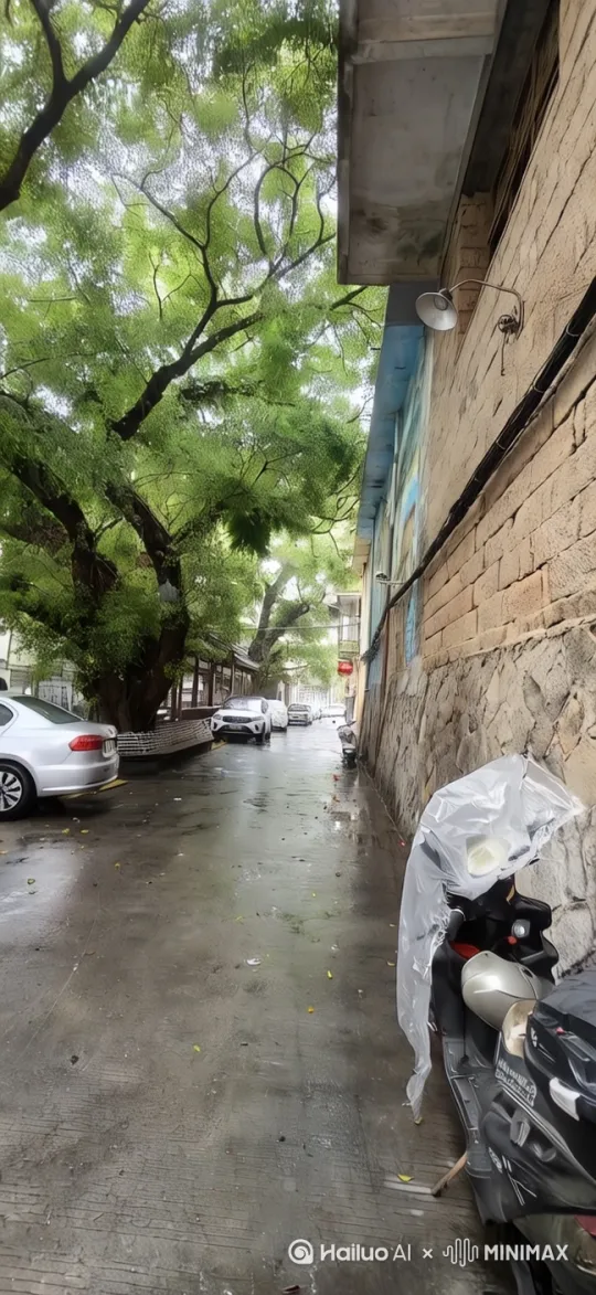  by Hailuo AI Video Generator