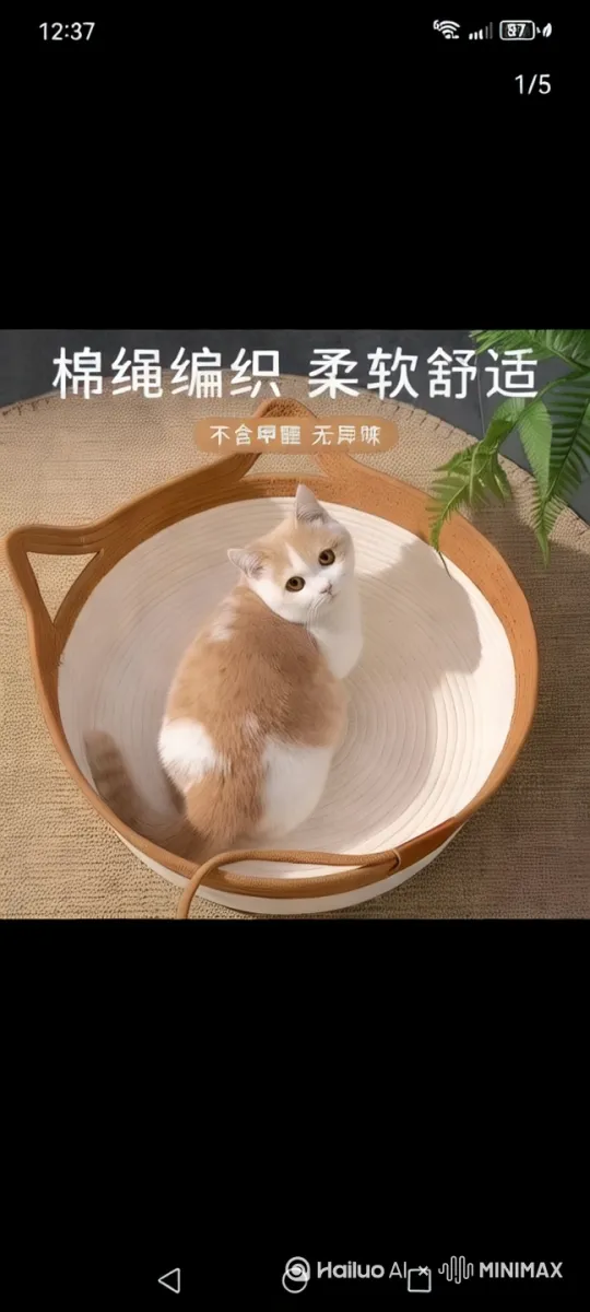 一只漂亮的白猫，悠闲的躺有窝里。仰着头用那圆圆灵动的眼睛望着你。尾巴还时不时摇幌一下， by Hailuo AI Video Generator
