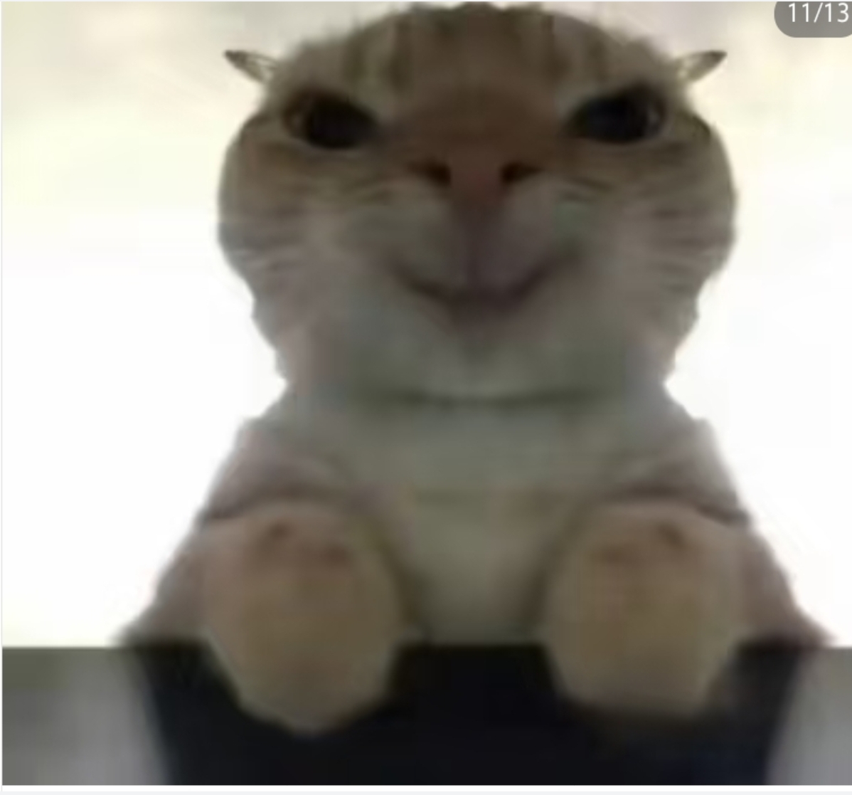 video original by Hailuo AI Video Generator