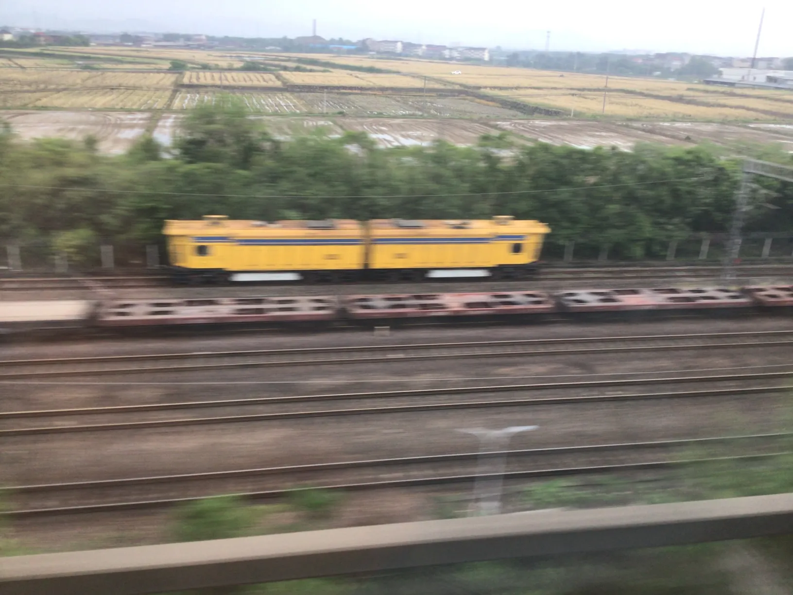 tracking-frame-icon