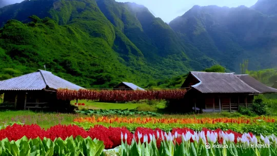 真实摄影，超细节，16K超清画质，中景镜头，50mm焦距，画面主体为深山之中的桃源景致。远处，山峦连绵起伏，似绿色屏障，山上植被茂密，翠绿的树叶与斑驳的光影相互交织，每一片叶子的脉络都纤毫毕现。在这深山怀抱里，几户人家错落分布。木质的房屋古朴雅致，屋顶覆着青灰色瓦片，历经岁月有些许斑驳，房檐下挂着一串串干辣椒和玉米，洋溢着生活气息。屋前是平整的土地，种着缤纷的花朵与葱郁的蔬菜，花朵娇艳欲滴，花瓣纹理细腻。一条清澈的小溪潺潺流过，溪水透亮，能看到水底圆润的石子与游动的小鱼。周围静谧祥和，弥漫着淡淡的薄雾，仿若给整个画面蒙上一层轻柔的纱，营造出如诗如画、宁静悠然，仿若与世隔绝的世外桃源氛围。换另外一幅景象 by Hailuo AI Video Generator