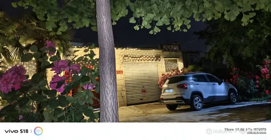  by Hailuo AI Video Generator