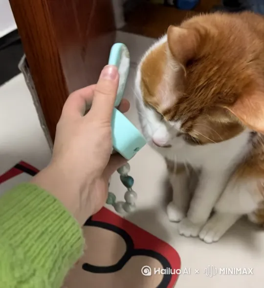 猫咪在打电话，在说话呢，感觉在拍总裁 by Hailuo AI Video Generator