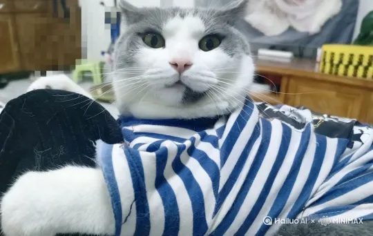 猫猫说阿嘟嘟嘟给我一口饭吃吧，老妖精 by Hailuo AI Video Generator