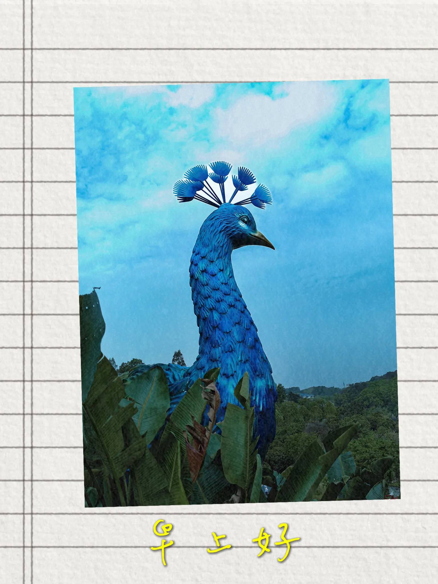 tracking-frame-icon