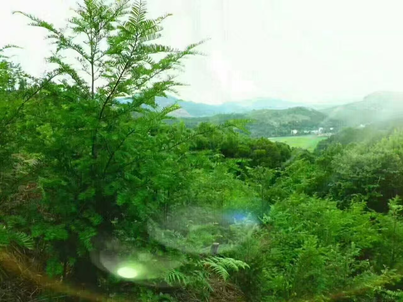 video original by Hailuo AI Video Generator