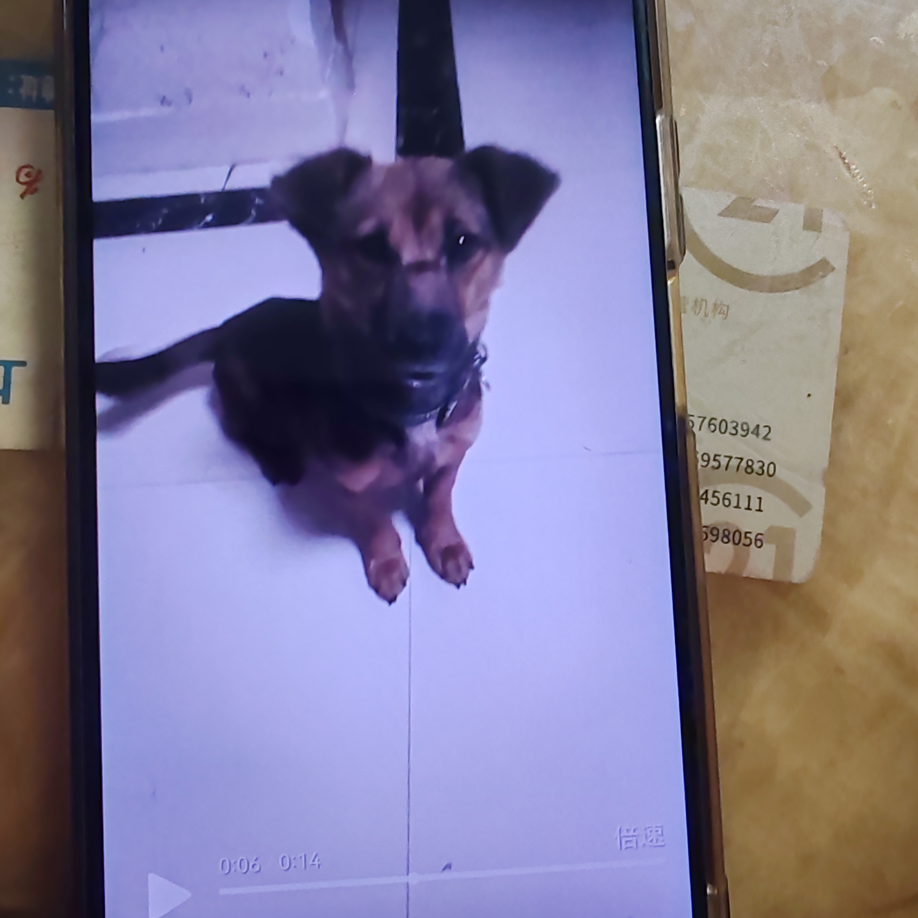 video original by Hailuo AI Video Generator