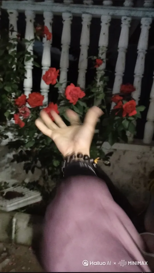 花开花落满地 by Hailuo AI Video Generator