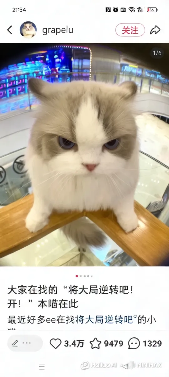  by Hailuo AI Video Generator