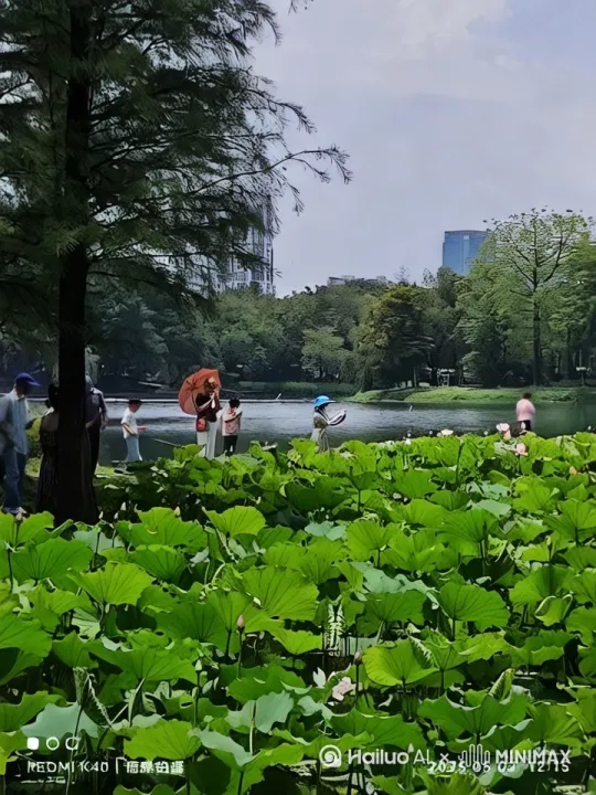 亚洲艺术公园 by Hailuo AI Video Generator