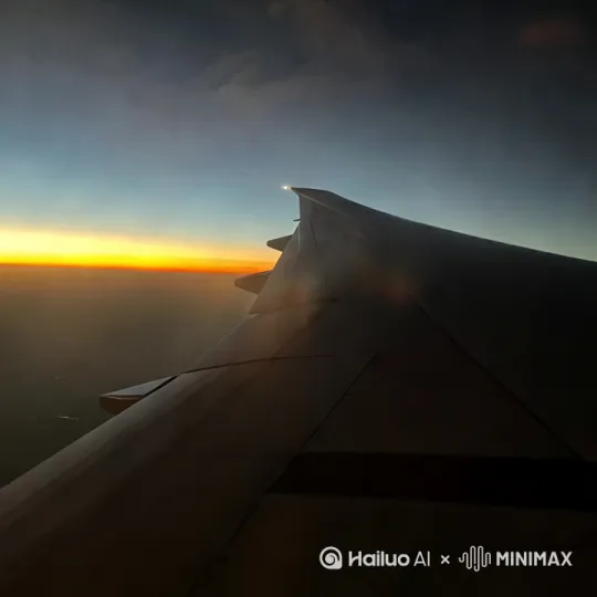 夜间飞行 by Hailuo AI Video Generator