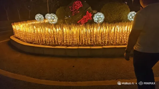 浪漫的夜晚动起来 by Hailuo AI Video Generator