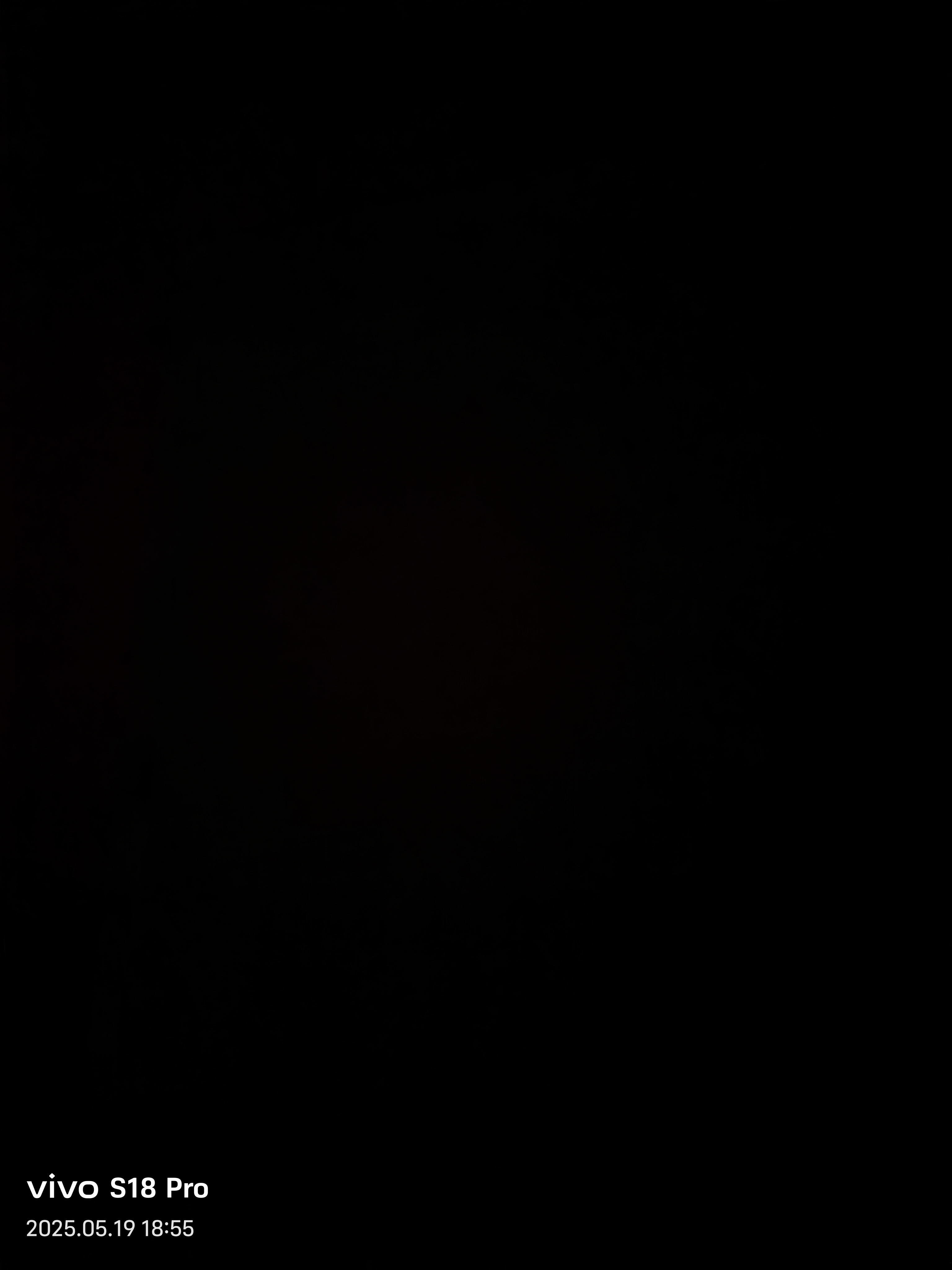 video original by Hailuo AI Video Generator